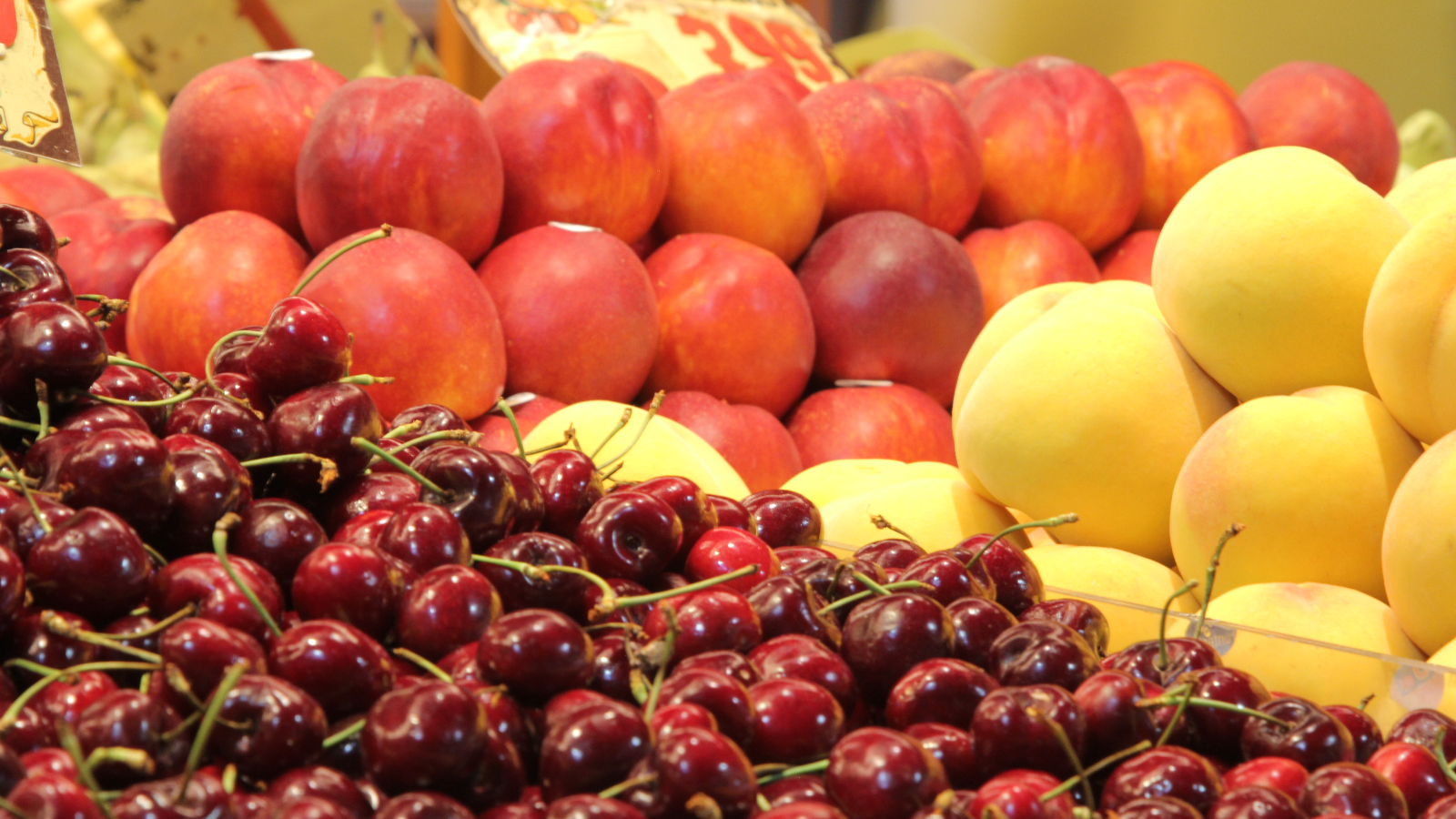 La mejor relación calidad/precio