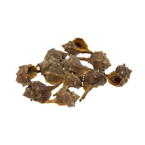 Cañailla cocida, 450-500 gramos aprox.