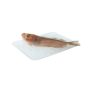 Gallo de ración, 280-380 gr. aprox.