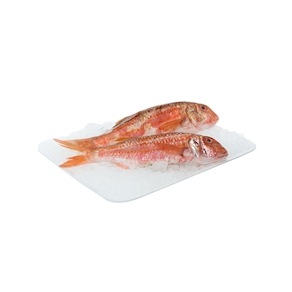 Salmonete. 400 - 500 gr. aprox.