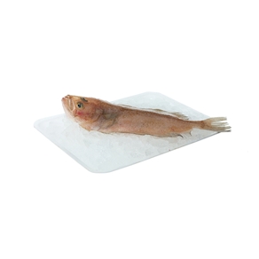 Gallo, 0,9 - 1,2 kg. aprox.