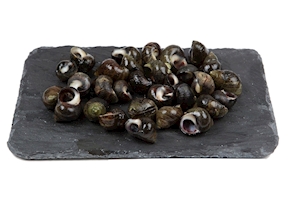 Bígaro, 250-300 gramos aprox.