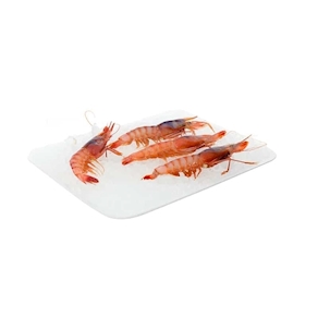 Gamba roja, 250-300 gramos aprox.