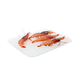 Gamba roja, 250-300 gramos aprox.