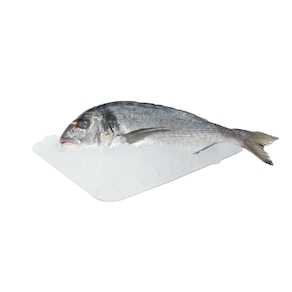Dorada de ración, 500 - 600 gr. aprox.