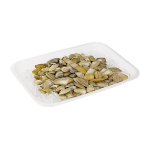 Coquina, 250-300 gramos aprox.