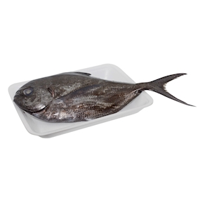 Palometa, 0,7 - 1 kg. aprox.