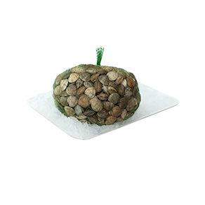 Chirla, 250-300 gramos aprox.