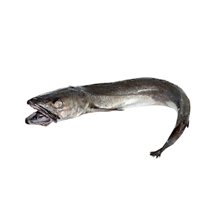 Merluza, 200 - 300 gr. aprox.