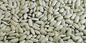 Alubia Verdina, 500 gramos aprox.