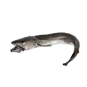 Merluza Premium de A Coruña, 200 - 300 gr. aprox.