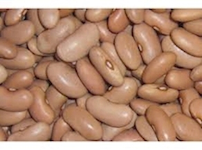 Alubia canela, 250g aprox