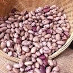 Alubia pinta, 250g aprox