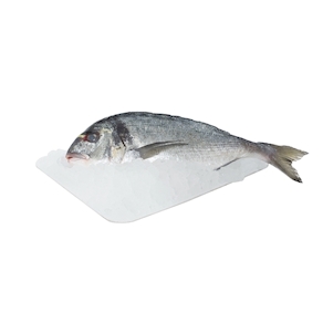 Dorada.1.2-1.5 kg aprox.