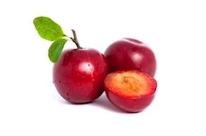Ciruela roja ecológica - 1kg aprox