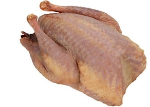 Perdiz roja auténtica de tiro (toledana) desplumada.